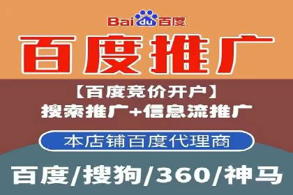 实战技巧：竞价推广案例解析与优化策略